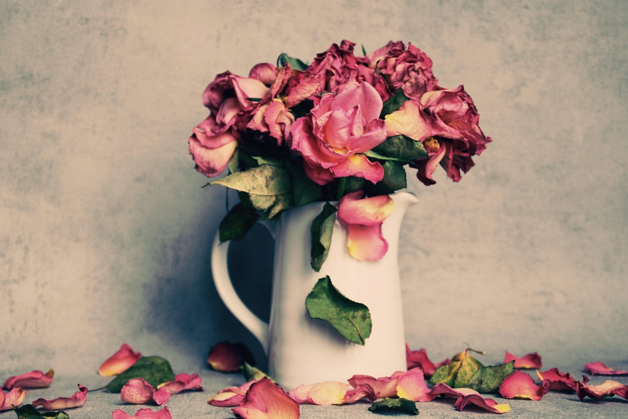 The Quiet Power of Dried Flowers in a Natural Home